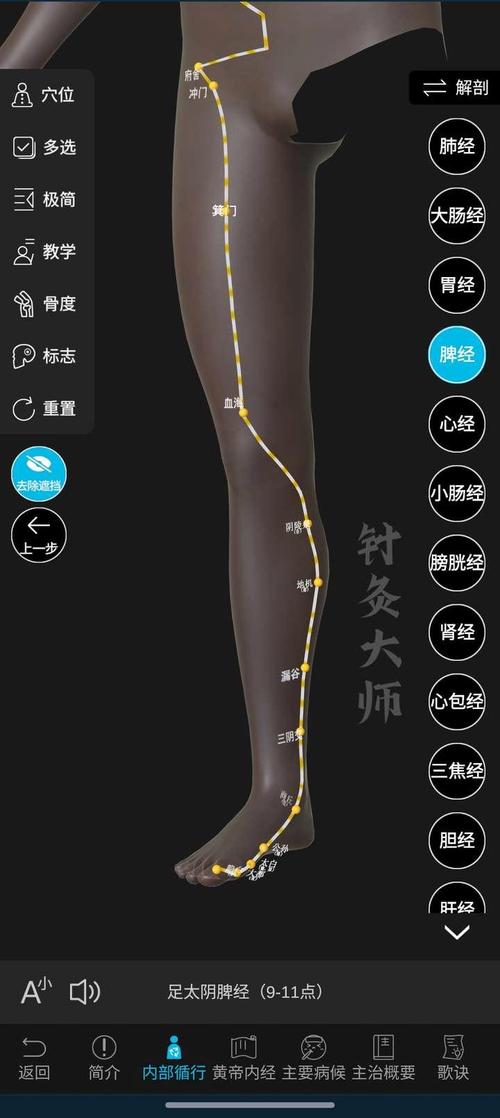 按哪个穴位可以腿长