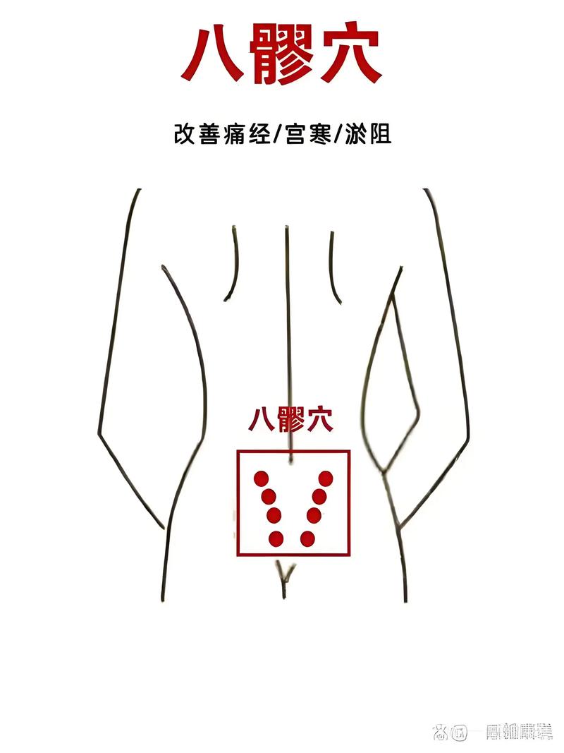 促进快速排尿的穴位