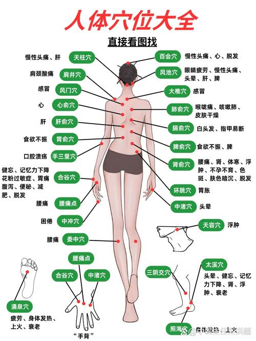人体一百零八个穴位