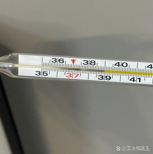 类风湿关节炎血沉正常