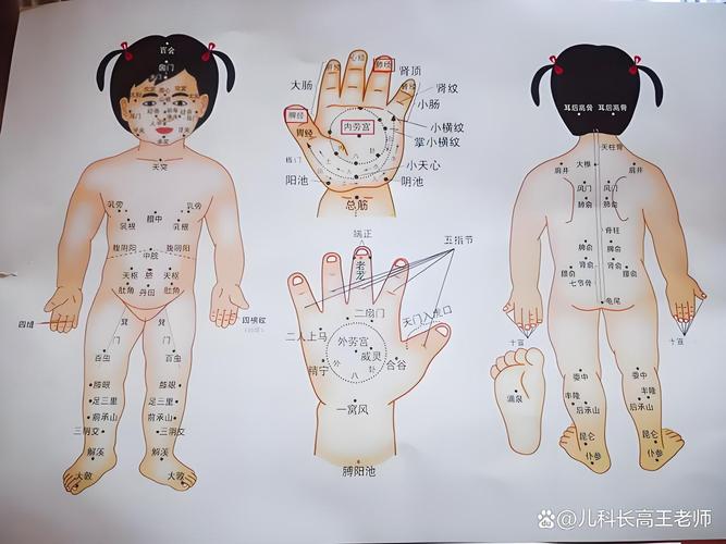 小儿生长贴相关穴位