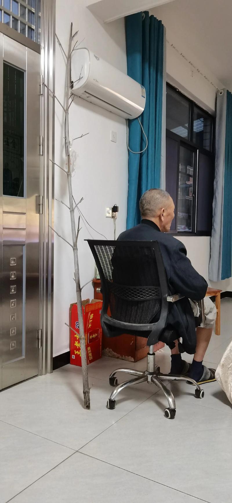 父亲是脑梗会遗传给谁