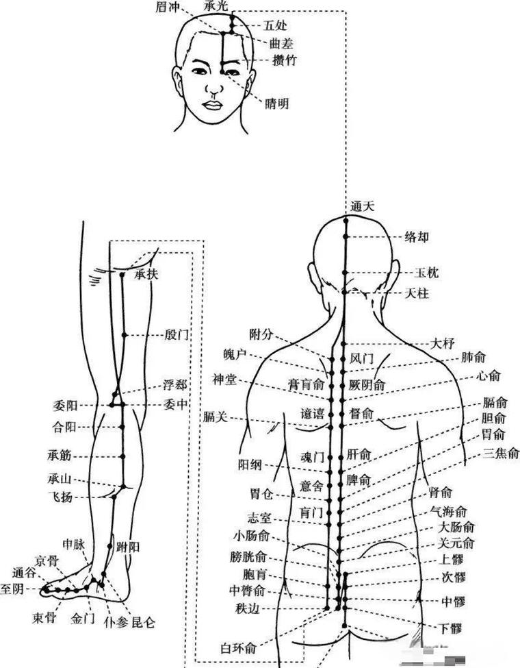 治疗尿路按什么穴位