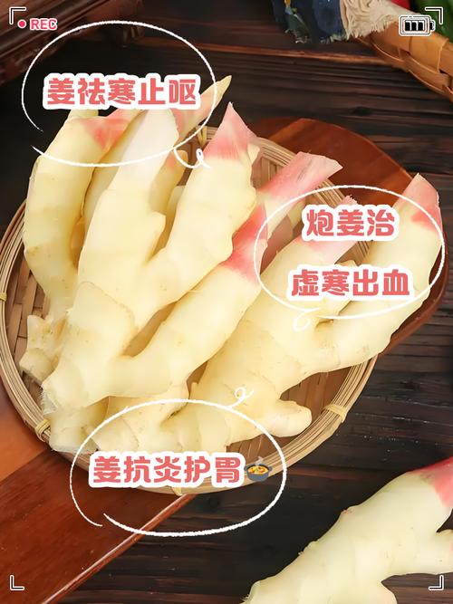 常吃生姜能去风湿病吗