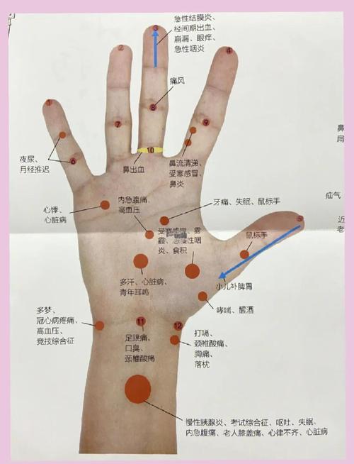 手部穴位图解 彩图