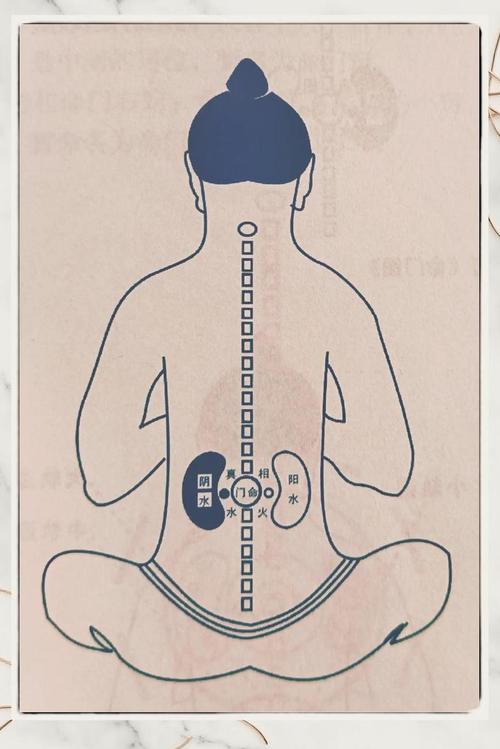 身体穴位命门在哪里