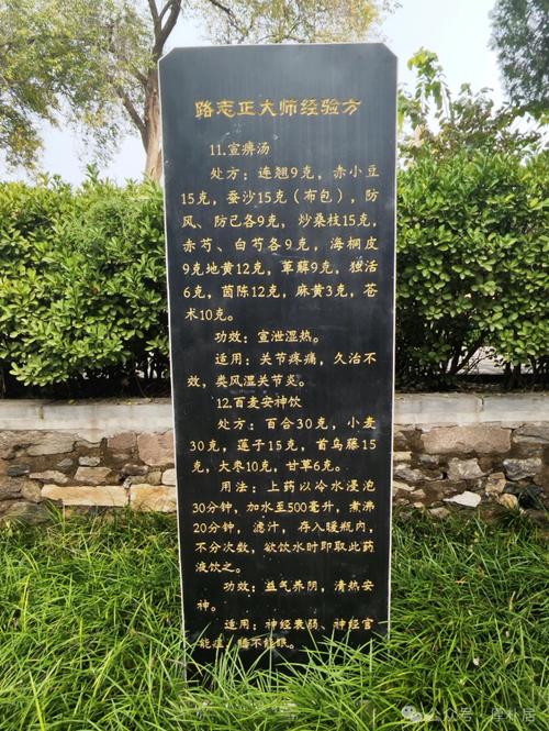 路志正治疗风湿病经验