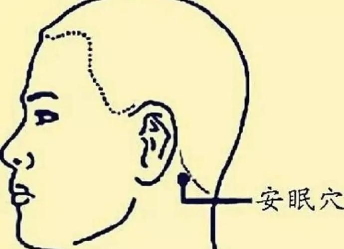 头上帮助睡眠的穴位