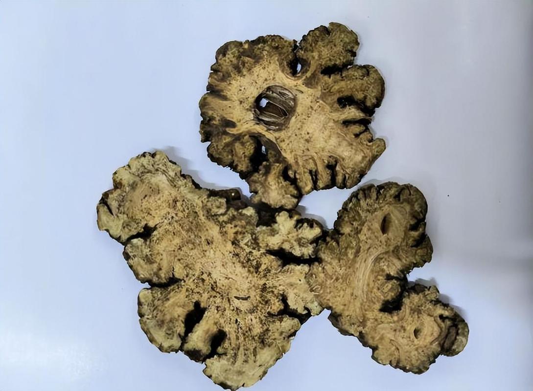 治疗腔隙性脑梗的中药