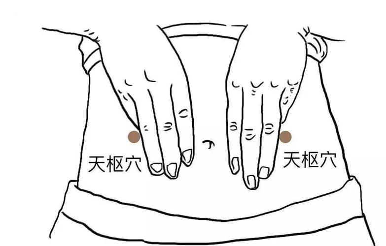 治疗夏季腹泻的穴位