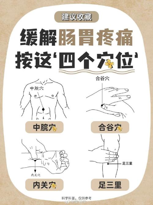 胃消化不好中医穴位