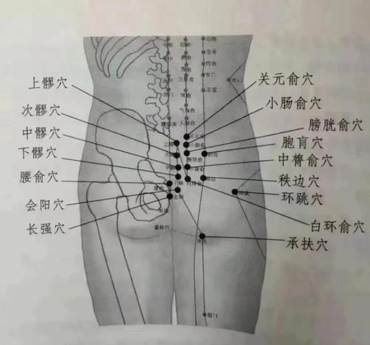 臀部周围有哪些穴位