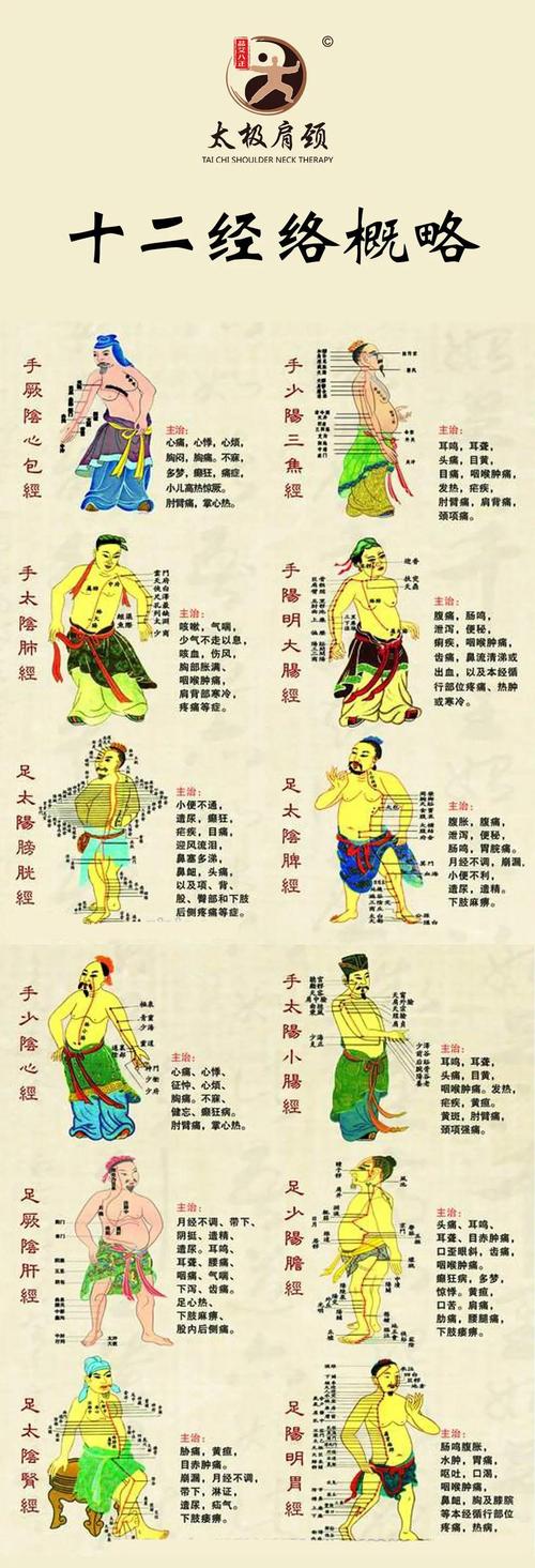 十二经络与穴位位置