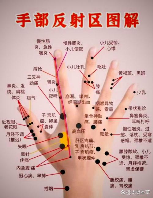 小拇指上有什么穴位