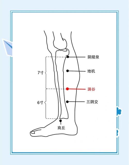 骨质疏松取什么穴位