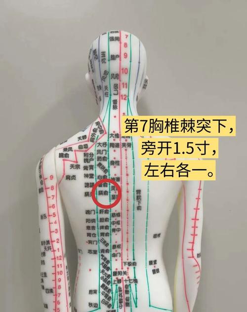 背部穴位按摩图视频