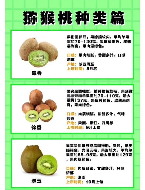 脑梗病人能吃猕猴桃吗