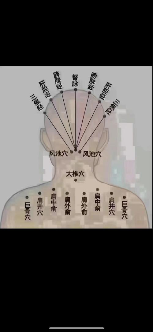 针炙哪个穴位治头晕