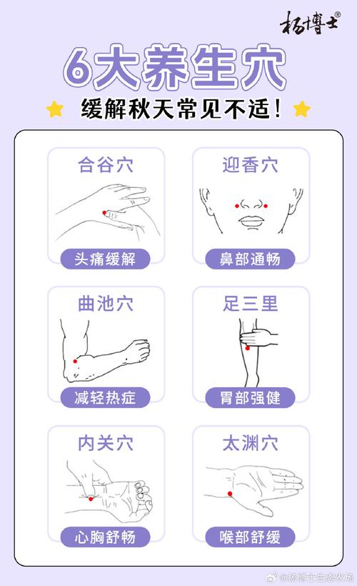 退热可以推哪些穴位