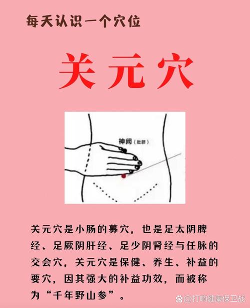 人体穴位按摩关元穴