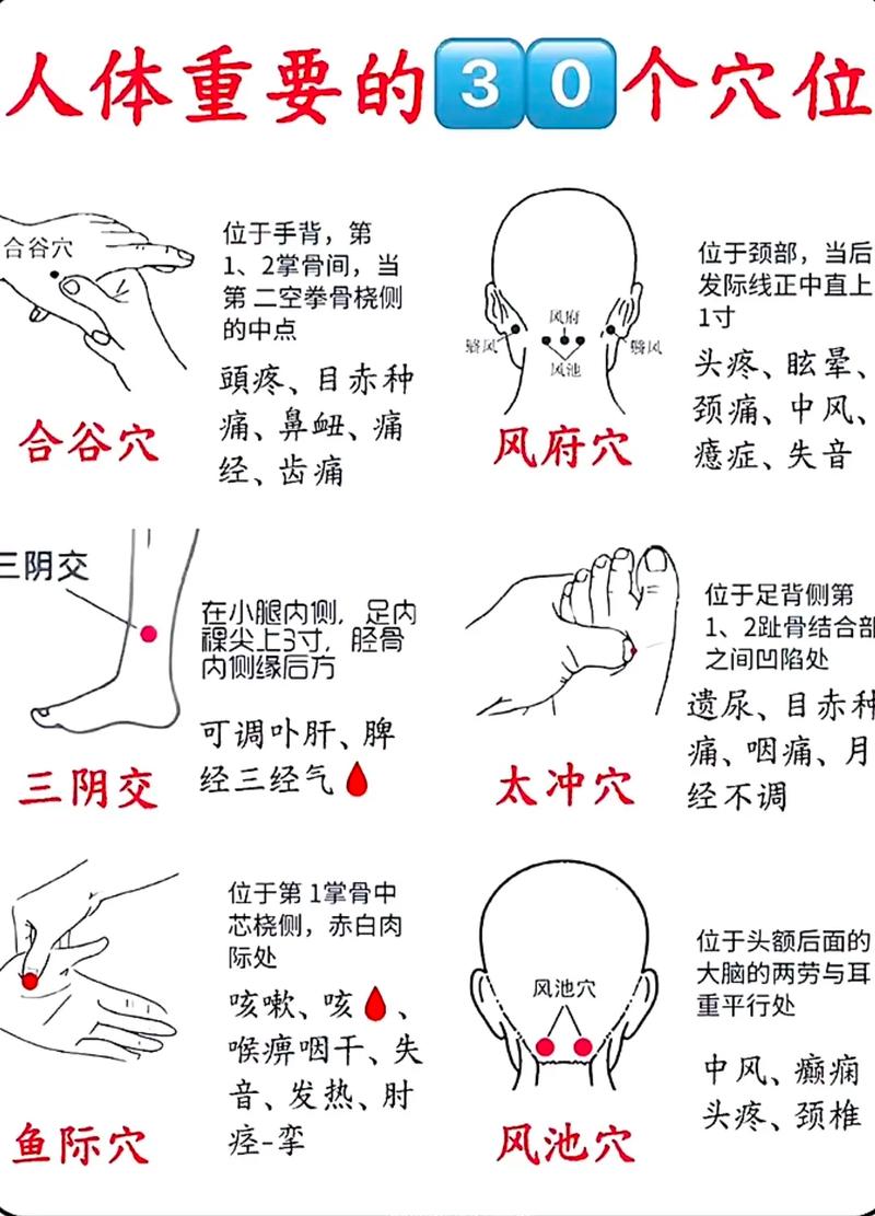 全身重要穴位的定位