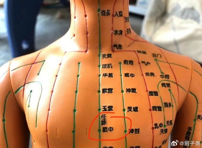 人体胸前有哪些穴位