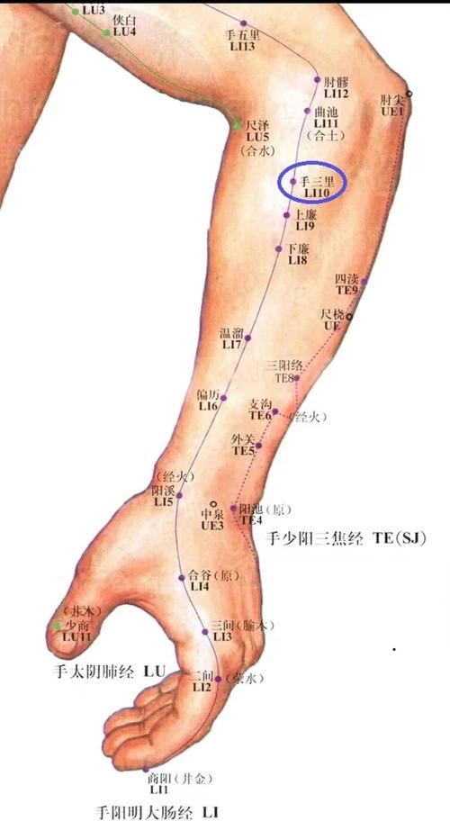 手上治疗腰椎的穴位