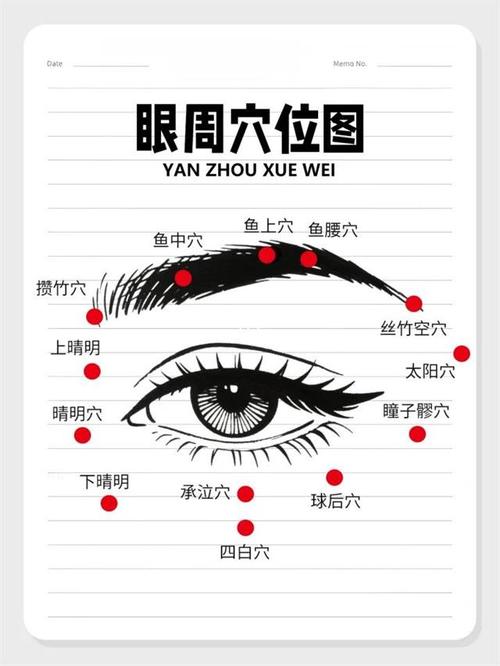 眼睑下方是什么穴位