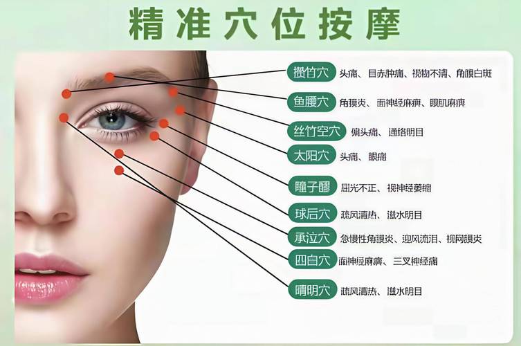 眼睑下方是什么穴位