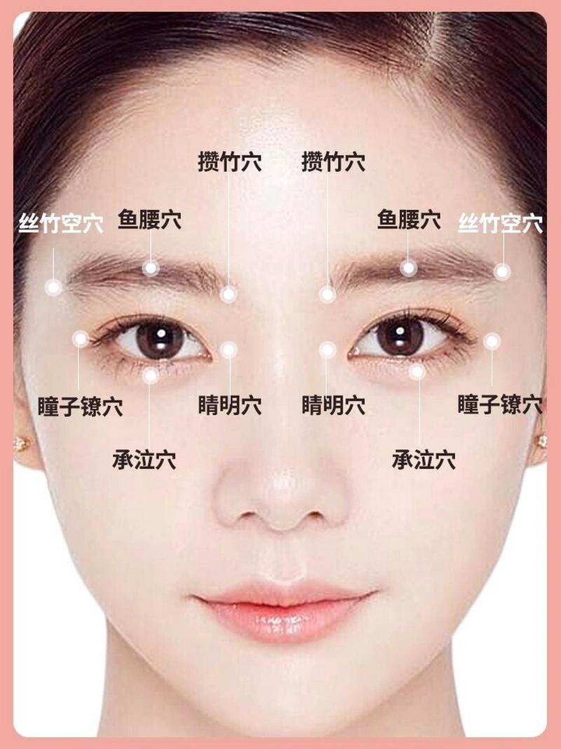 眼睑下方是什么穴位