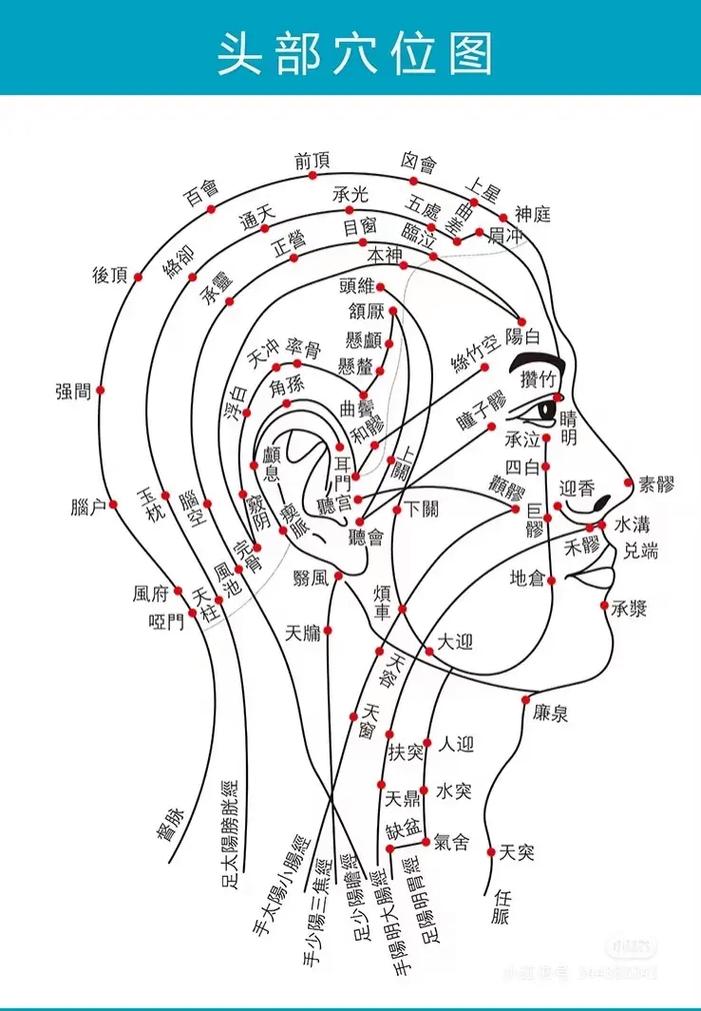 头顶疼按摩穴位哪里