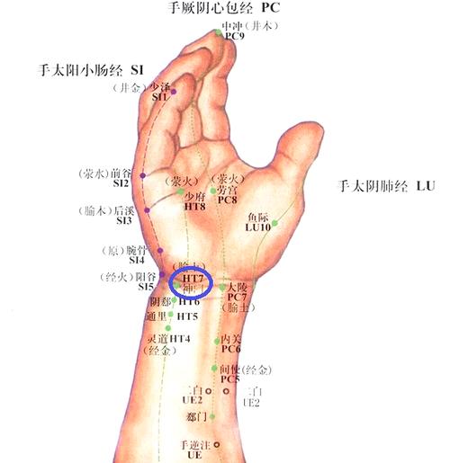 手腕以上是什么穴位