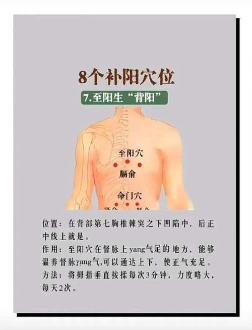 体内增加阳气的穴位