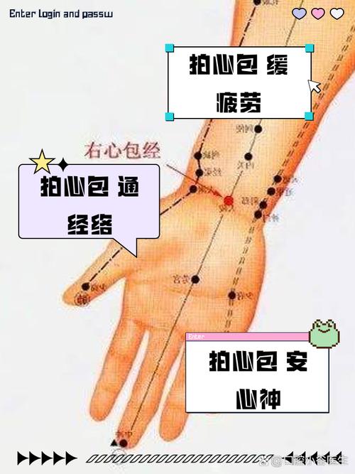 心包经穴位图 详细
