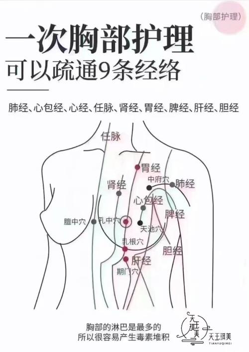 心包经穴位图 详细