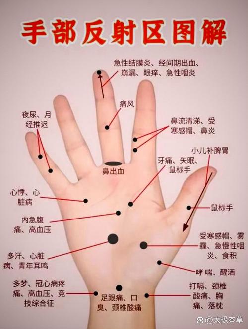 手上穴位高清大图片