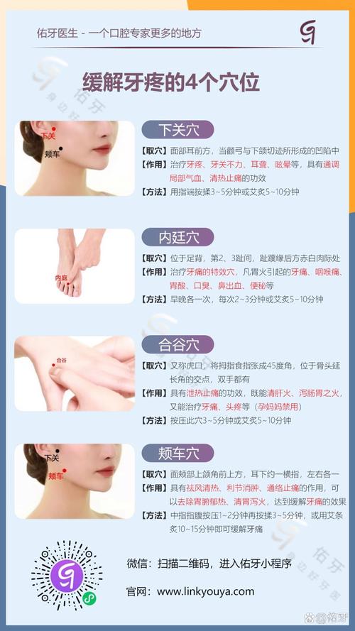 左侧牙疼按什么穴位