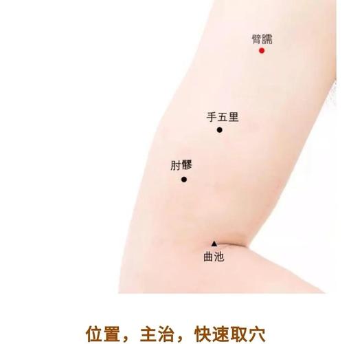 手臂痛针灸什么穴位