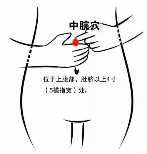 改善新陈代谢的穴位