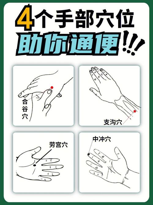 便秘应该按什么穴位