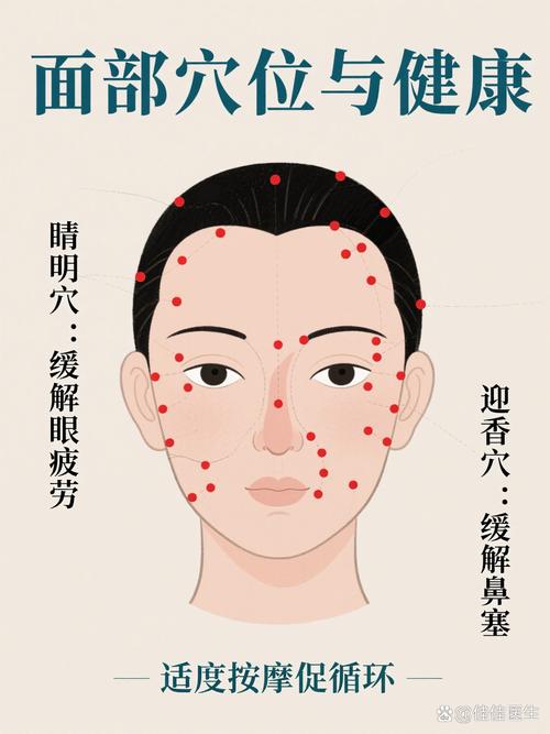 面部穴位图怎么画法