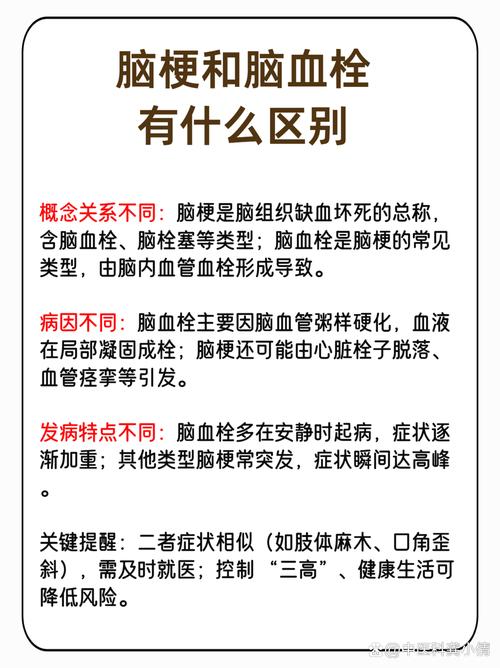 脑梗和脑血栓有啥区别