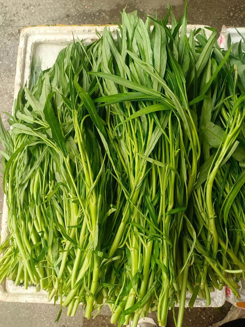 类风湿可以吃空心菜吗