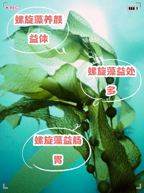 脑梗病人能吃螺旋藻吗