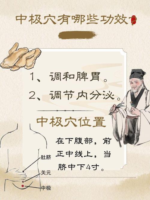 中极穴位地点及作用