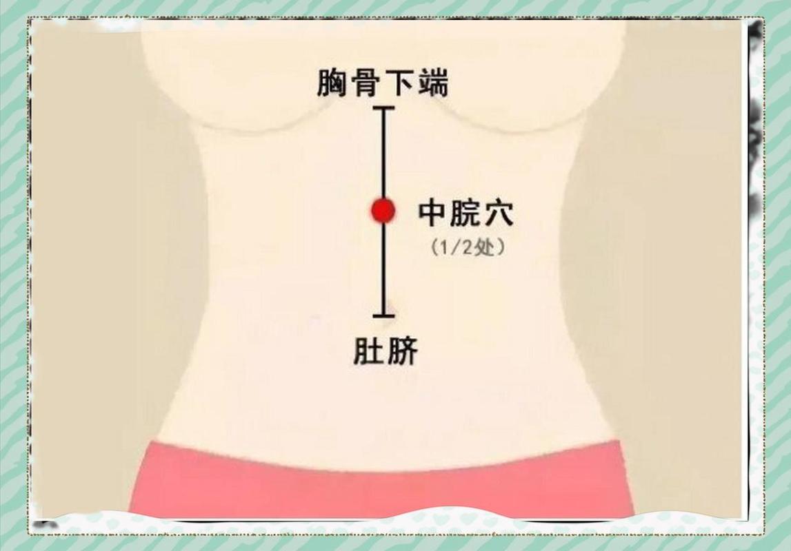人体中 腹部穴位图