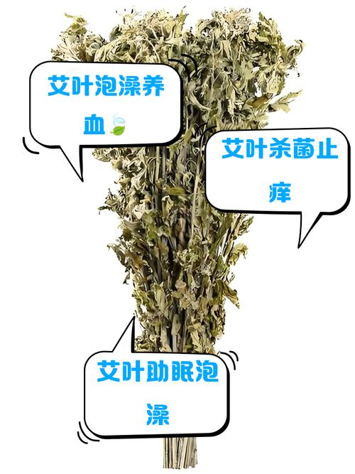 泡艾叶对类风湿有用吗