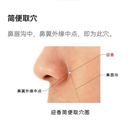 治疗鼻塞不通的穴位