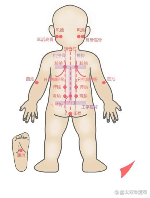 小儿推拿正面穴位图