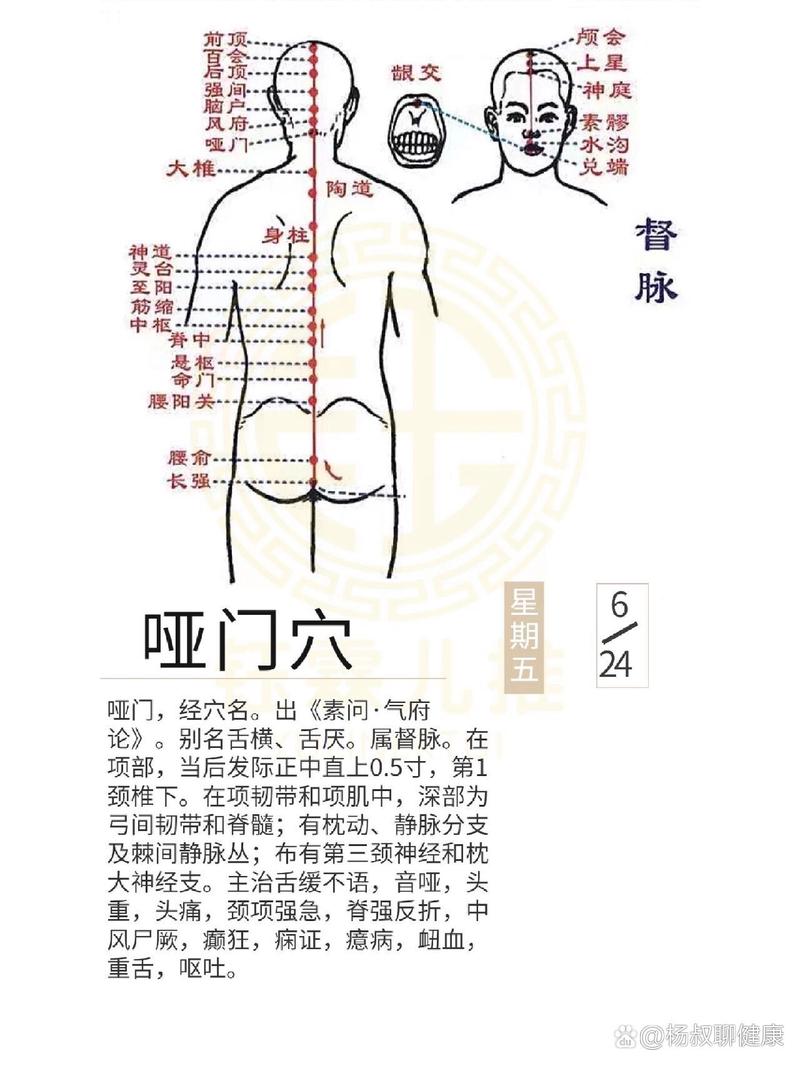 哑门穴位起什么作用